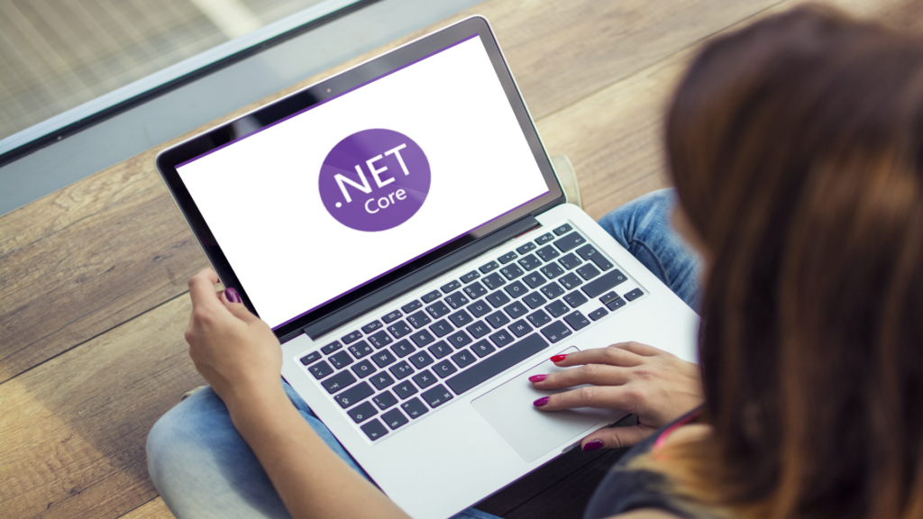 hqledutech, .net core